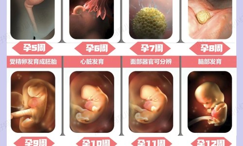 哄睡拍打婴儿屁股网 - 网站提供快速轻拍婴儿屁股哄睡小常识、哄睡拍打婴儿屁股可以吗