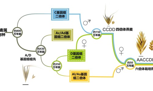哄睡拍打婴儿屁股网 - 网站提供快速轻拍婴儿屁股哄睡小常识、哄睡拍打婴儿屁股可以吗