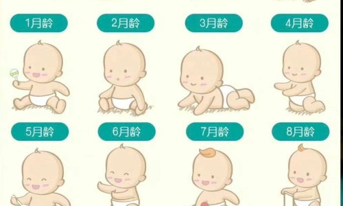婴儿米粉分段吗?